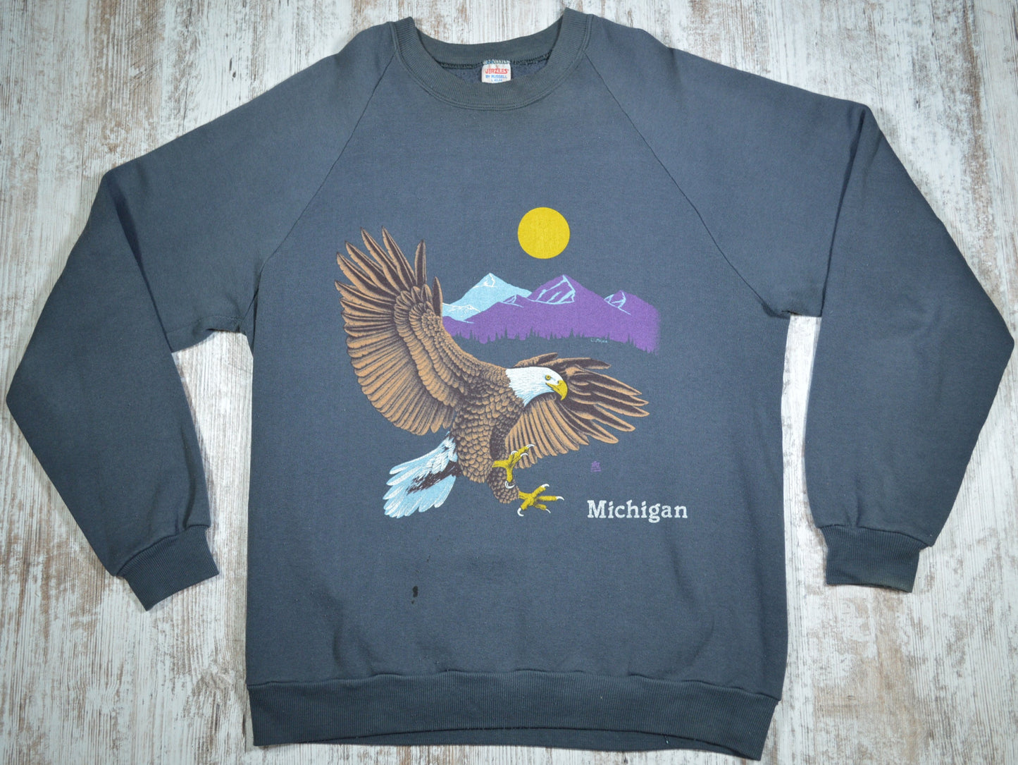 Vintage Michigan Nature Raglan Sweatshirt 80s