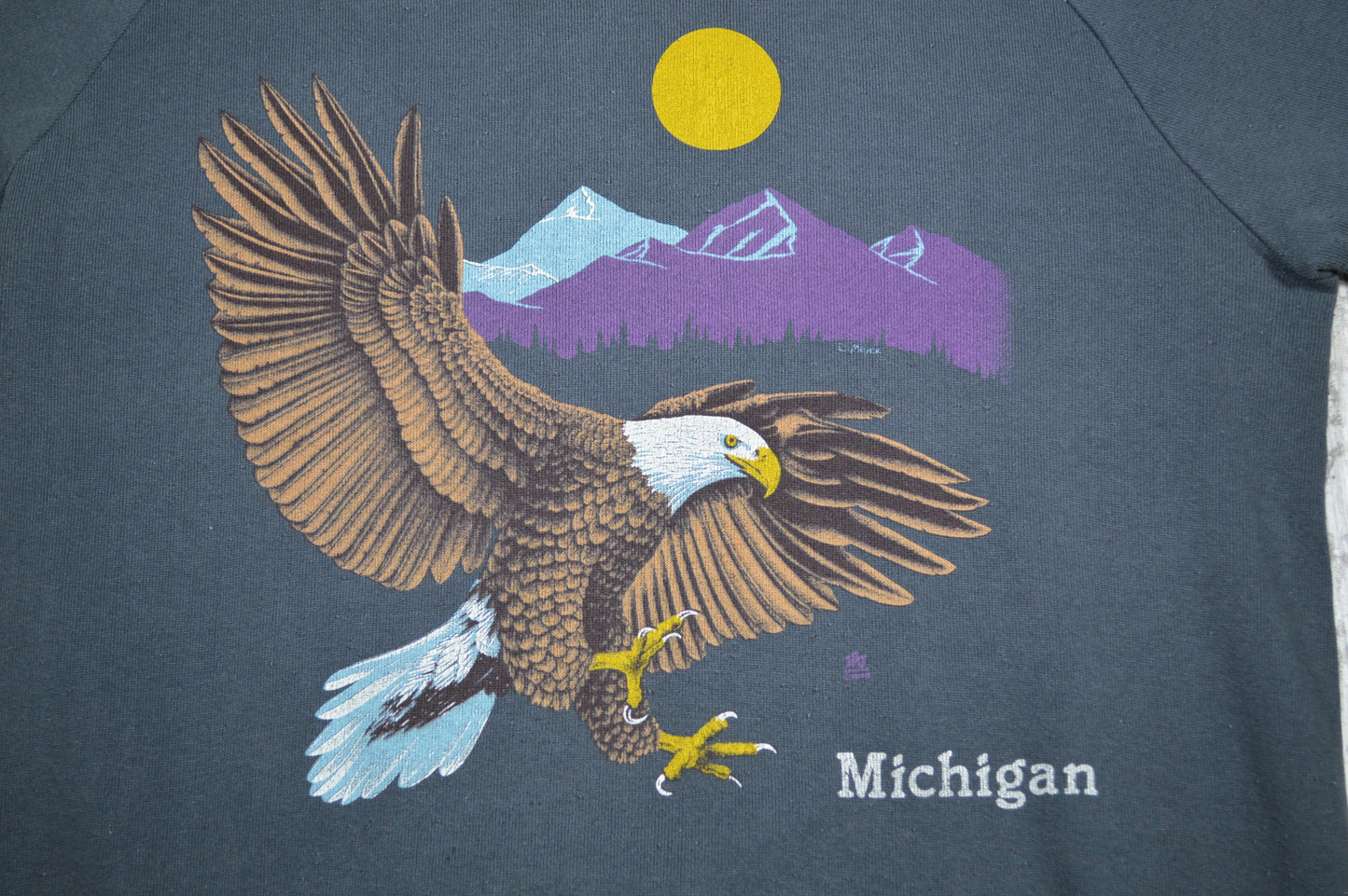 Vintage Michigan Nature Raglan Sweatshirt 80s